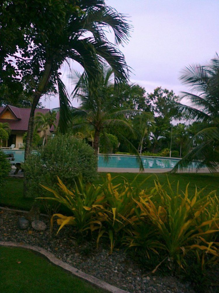 Bohol Divers Resort Totolan Dış mekan fotoğraf